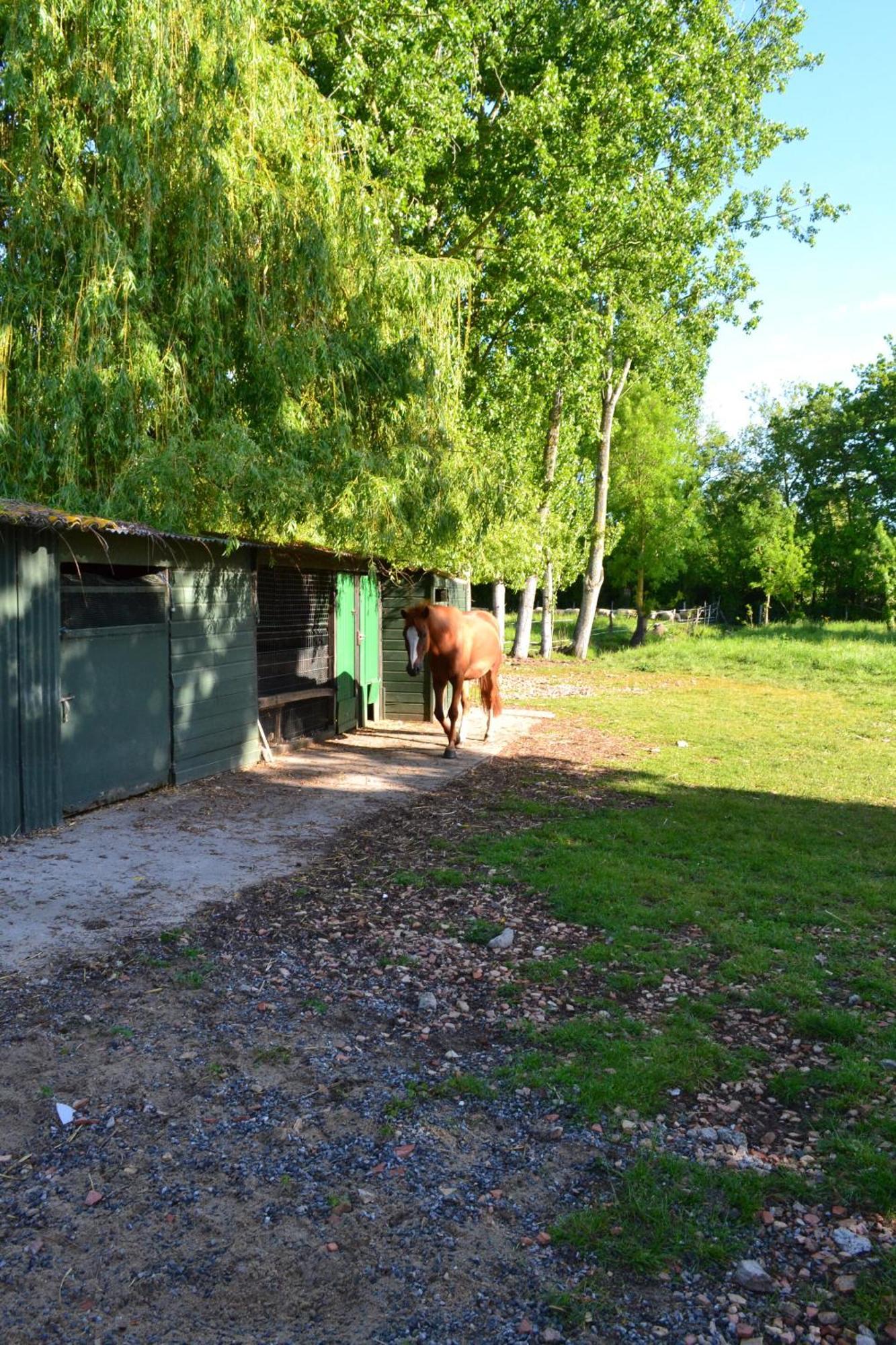 L'Instant Bleu Marans (Charente-Maritime) Exterior foto